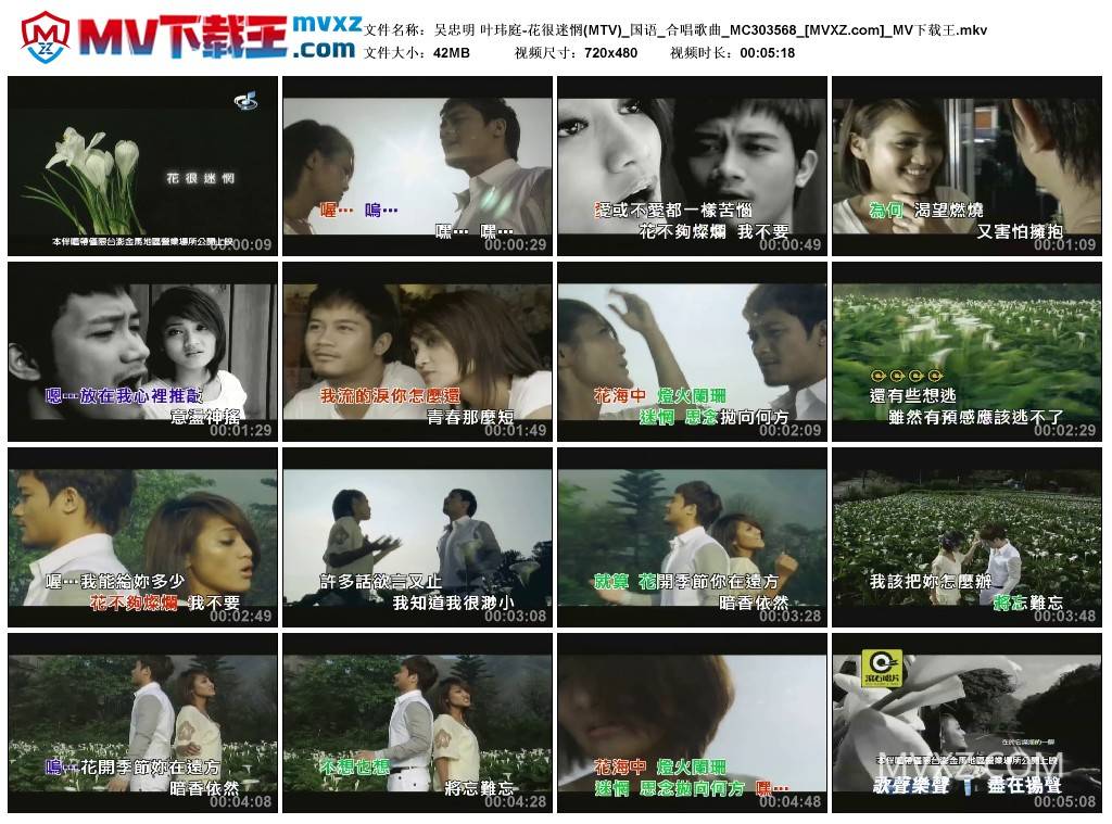 吴忠明 叶玮庭-花很迷惘(MTV)_国语_合唱歌曲_MC303568